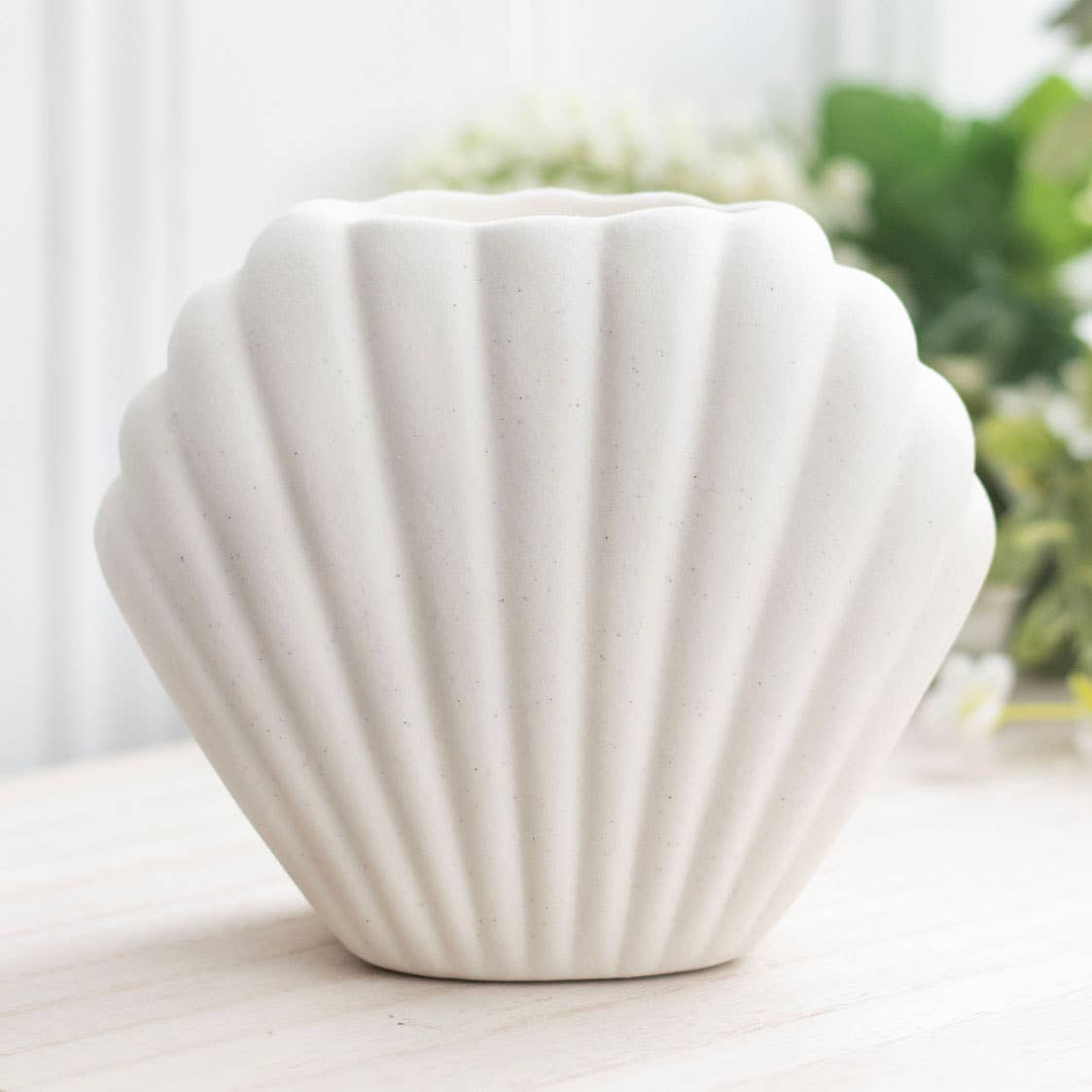 Brûleur Nautical Seashell